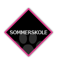 Hjemmeside - Sommerskole.png